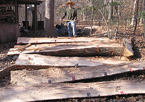 riving logs